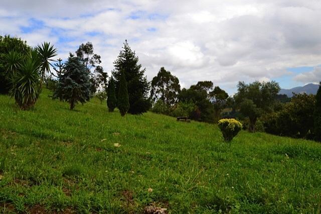 Coana Apartamentos Rurales Casa Ron מראה חיצוני תמונה