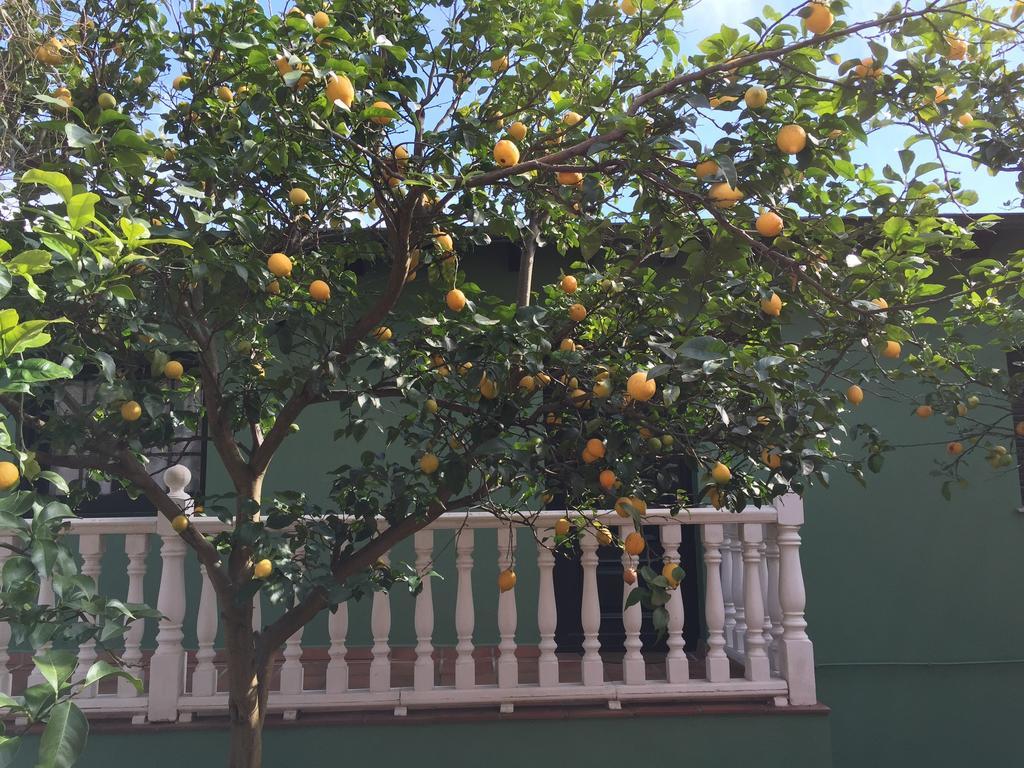 Coana Apartamentos Rurales Casa Ron מראה חיצוני תמונה