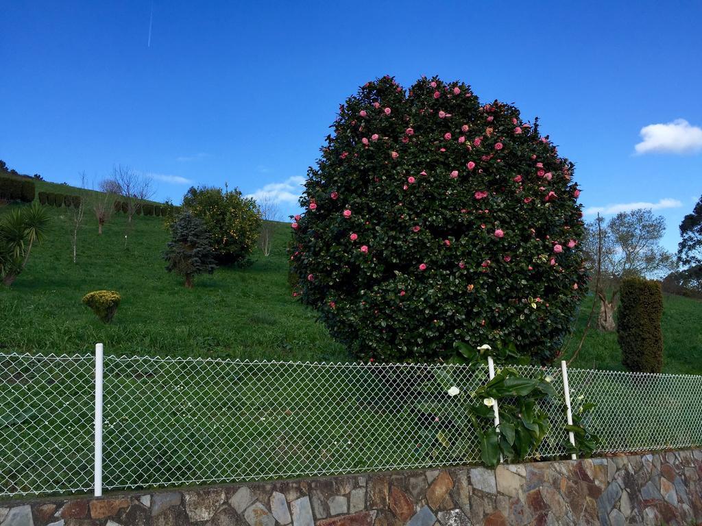 Coana Apartamentos Rurales Casa Ron מראה חיצוני תמונה