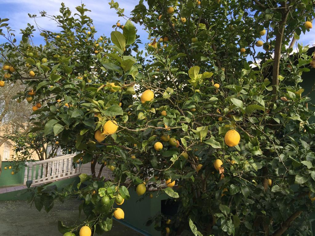 Coana Apartamentos Rurales Casa Ron מראה חיצוני תמונה